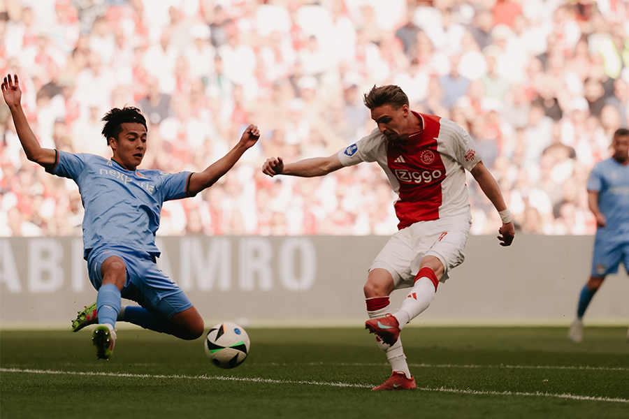 Schottaylorajaxnec
