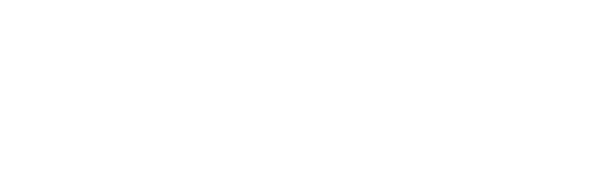 MWS Logo White
