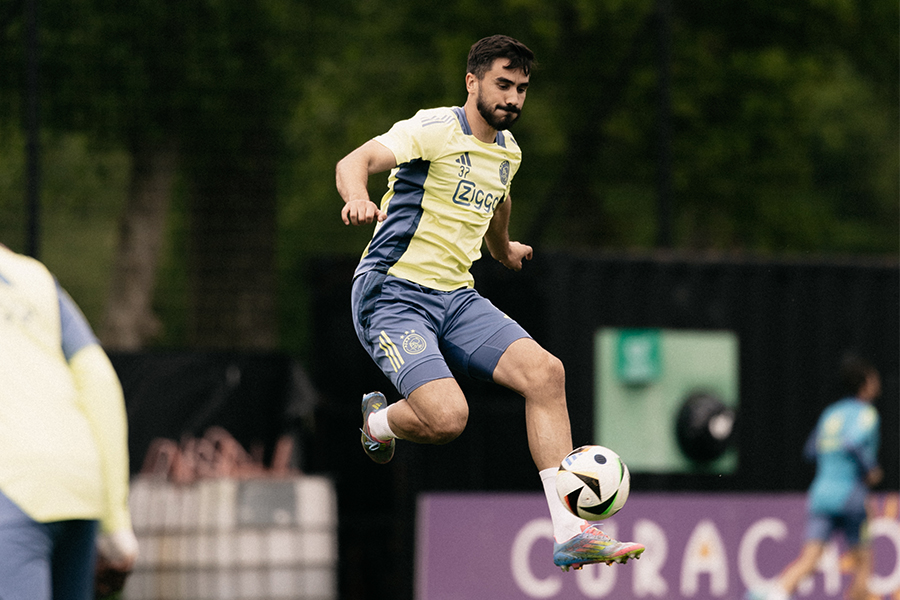 Sutalo Aannametraining