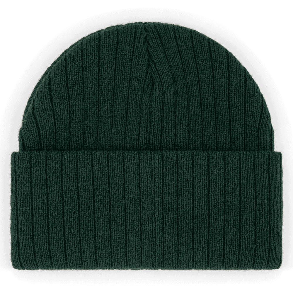 hat_green_back.png