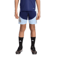 Ajax-training shorts junior 2026-2027