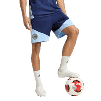 Ajax-training shorts senior 2026-2027